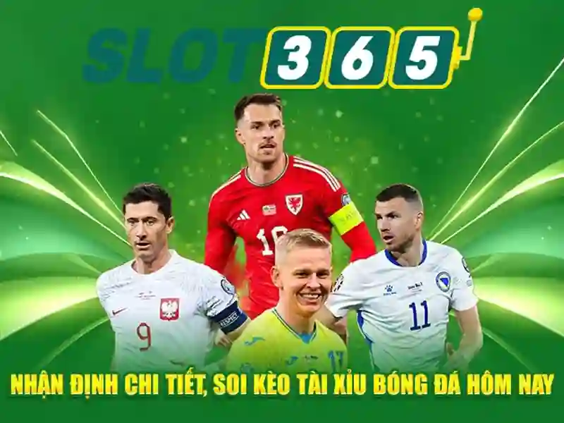 Khách hàng và hỗ trợ 24/7
