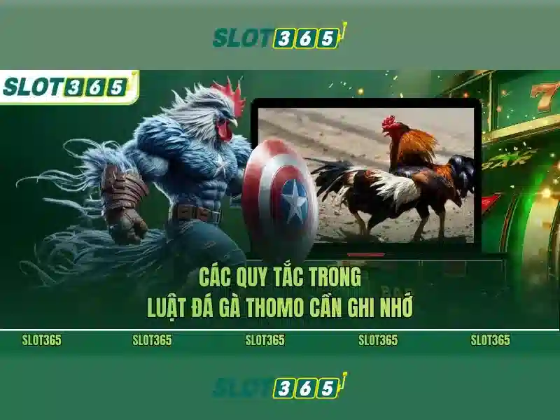 Slot365: Tổng quan về nền tảng chơi slot trực tuyến an toàn và tiện ích