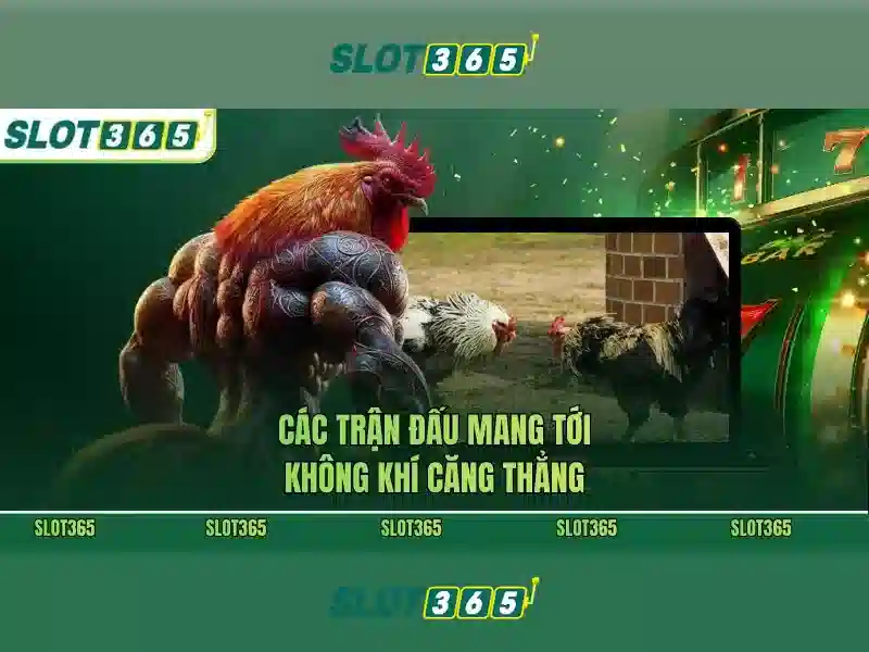 Slot365 – Trải nghiệm máy đánh bạc trực tuyến tuyệt vời