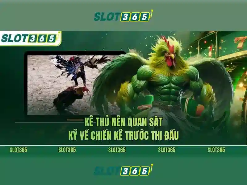 Trạng thái bảo mật và uy tín