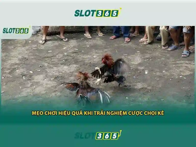 Slot365: Trải nghiệm slot trực tuyến an toàn và tiện lợi