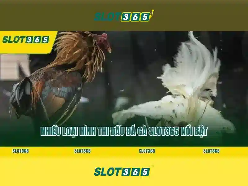 Hỗ trợ khách hàng và cách bắt đầu