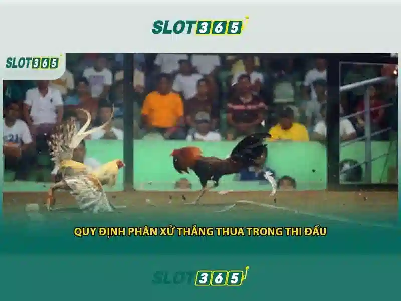 asia slot365 – Trải nghiệm giải trí trực tuyến hàng đầu