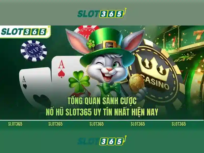 Slot365: Nền tảng máy xèng trực tuyến hiện đại