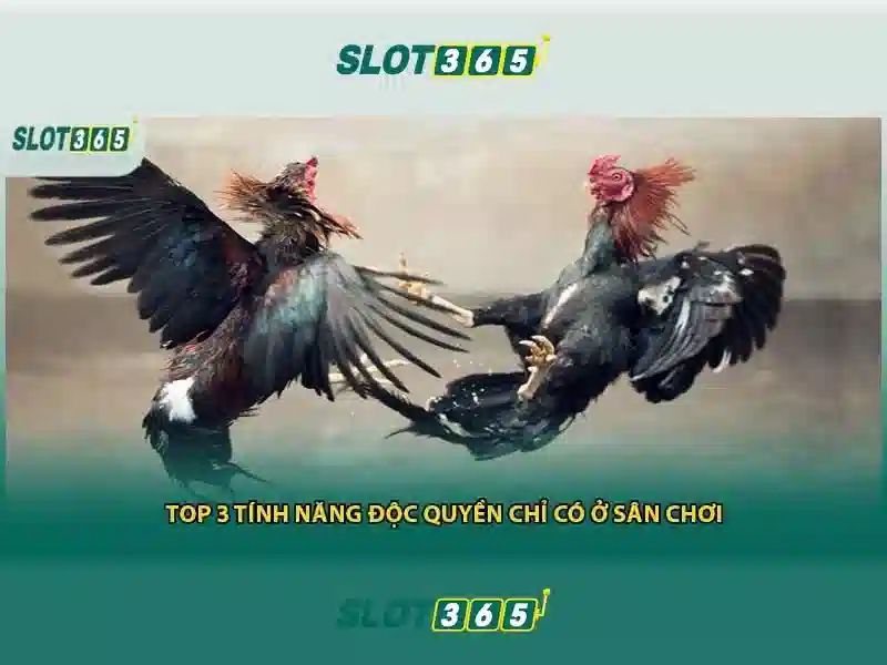 Slot365: Trải nghiệm casino trực tuyến đáng tin cậy