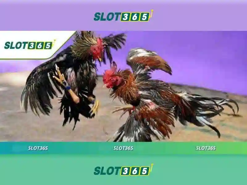 Slot365: Đánh giá tổng quan và trải nghiệm chơi slot trực tuyến