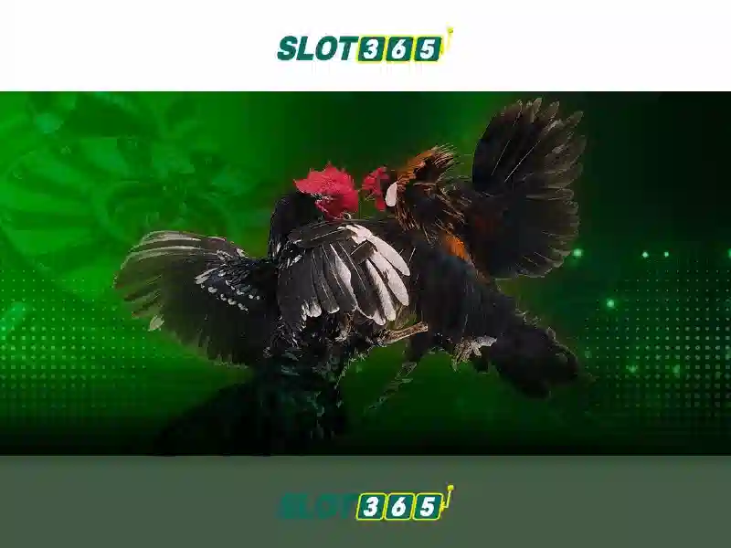 Chơi Book Of The Fallen Slot Online - Phòng khám da liễu quốc tế ...