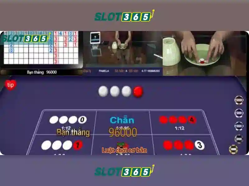 Slot365 - Nền tảng cá cược trực tuyến đáng tin cậy