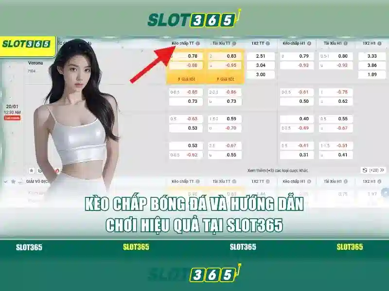 slot365-features