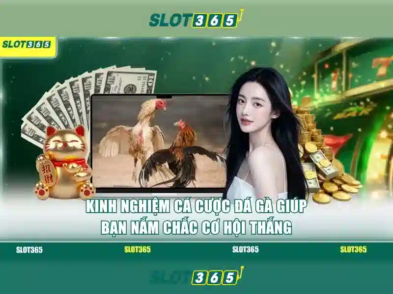 Giao diện và trải nghiệm người dùng