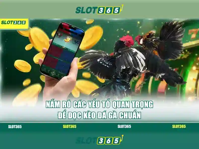 Trải nghiệm người chơi và danh mục trò chơi
