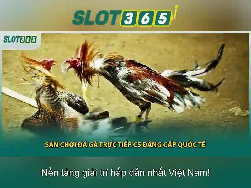 An toàn và bảo mật khi tham gia Slot365