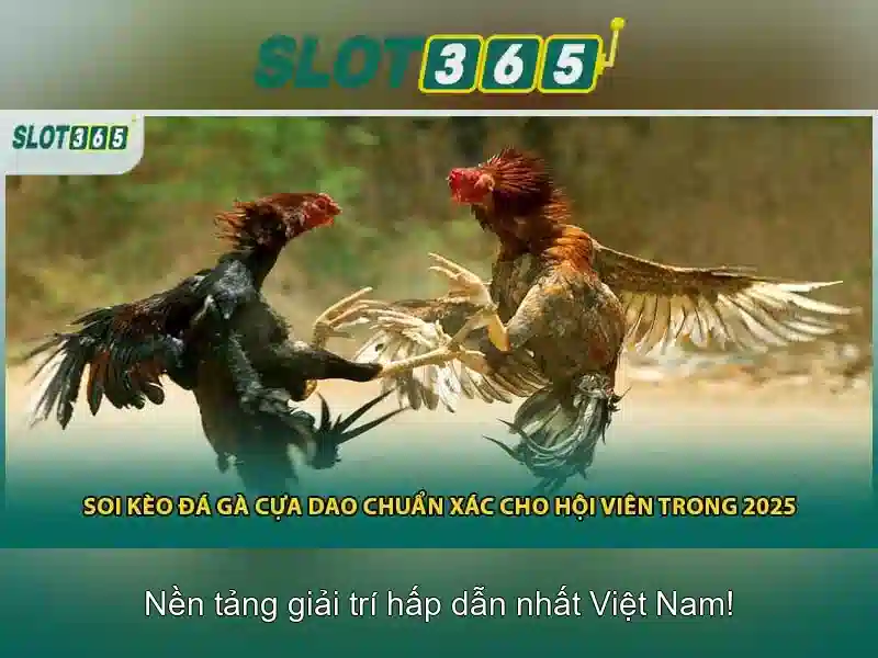 Slot365 – Nền tảng slot trực tuyến an toàn và hấp dẫn