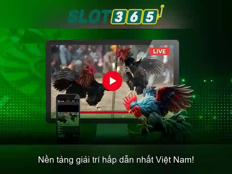 slot365 có uy tín không: Đánh giá và trải nghiệm