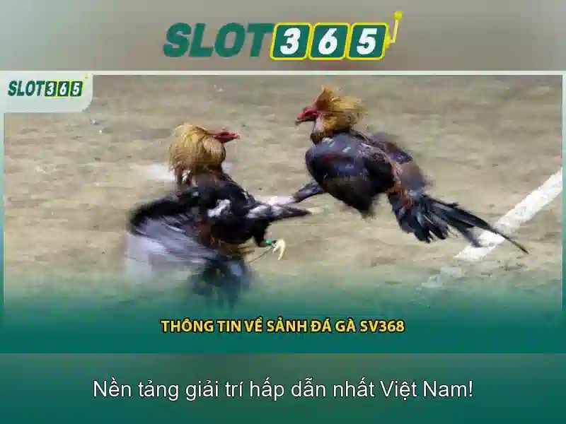 Slot365 - Nền tảng casino trực tuyến hiện đại