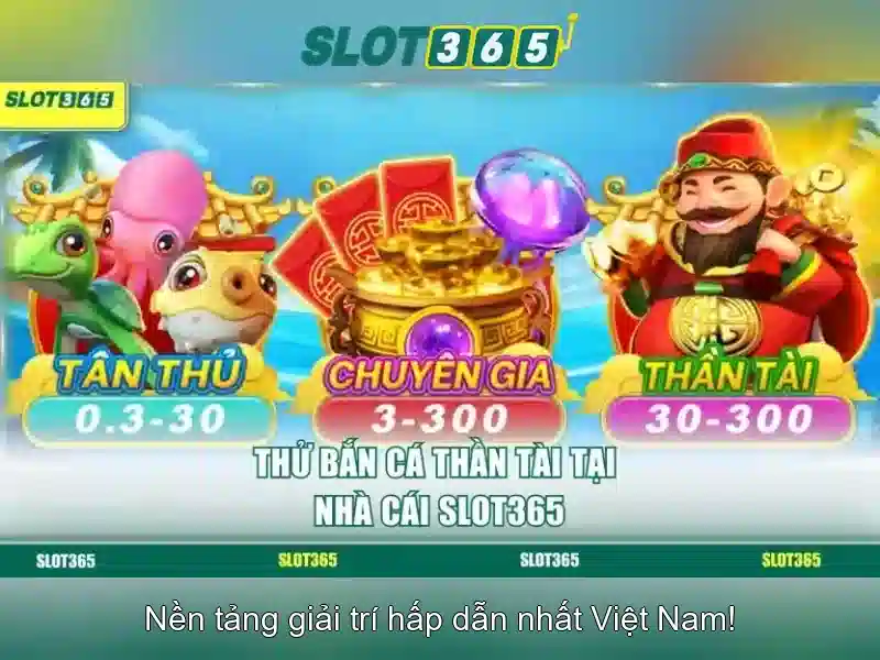 Trải nghiệm người dùng và giao diện