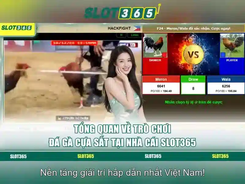 Tiện ích di động và trải nghiệm người dùng