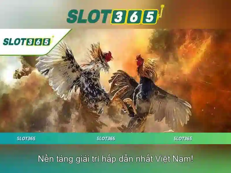Slot365 – Đánh giá và hướng dẫn chơi slot trực tuyến