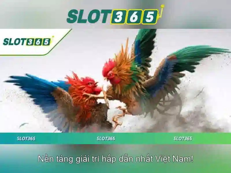 Slot365 - Nền tảng slot trực tuyến hàng đầu và trải nghiệm giải trí an toàn
