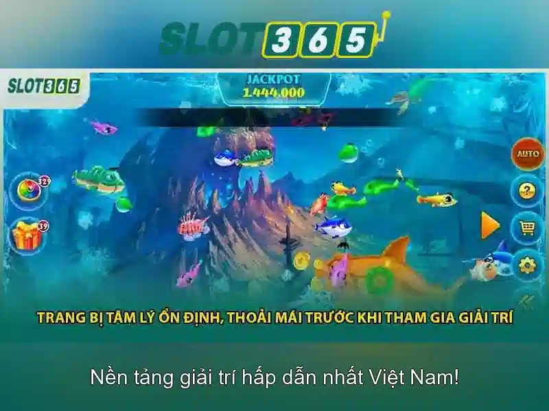 Trải nghiệm người dùng và giao diện
