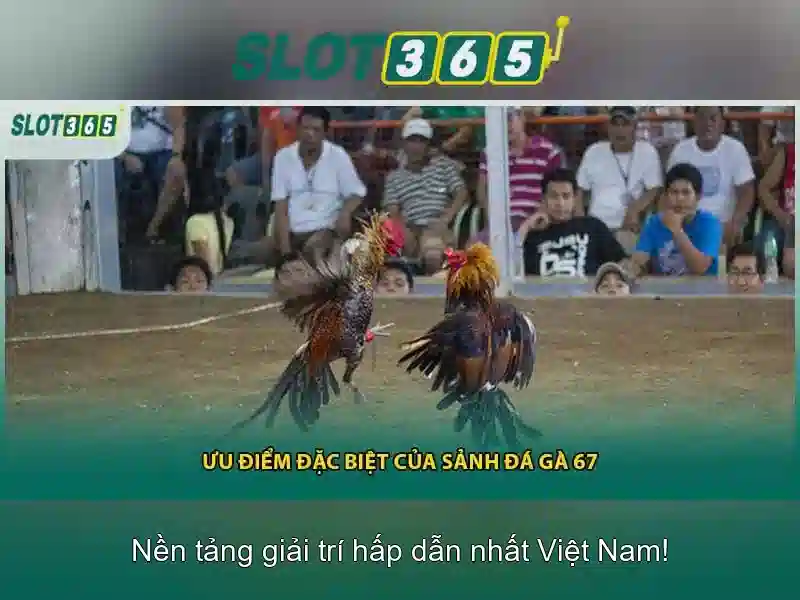 Tính năng nổi bật của Slot365