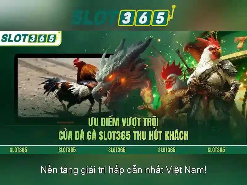 Tổng quan về Slot365