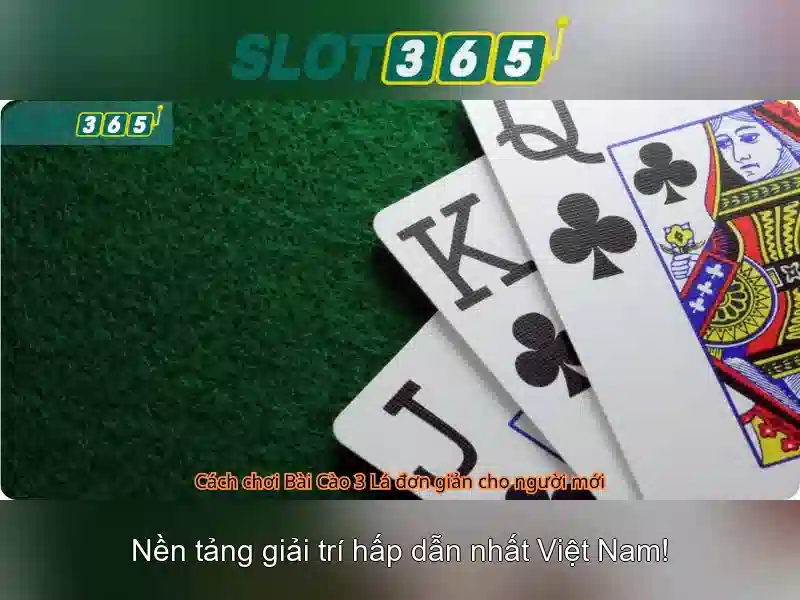 Slot365: Đánh giá nền tảng slots trực tuyến uy tín