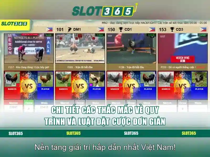 Slot video va jackpot tien hoa
