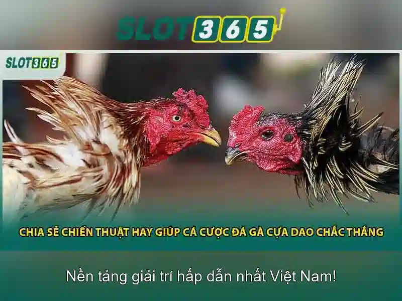 Slot365: Khám phá nền tảng đánh bạc trực tuyến đáng tin cậy