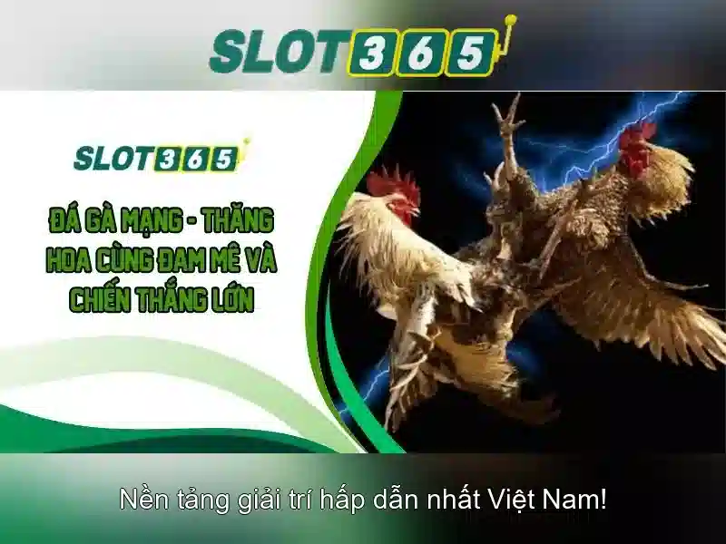 asia slot365 – Tổng quan chủ đề và giá trị cốt lõi