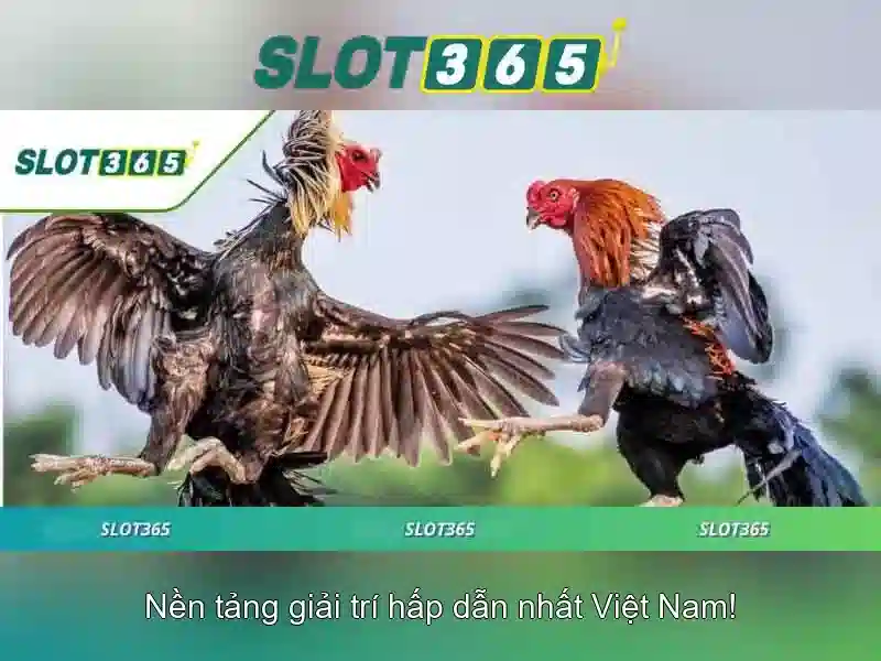 Slot365 - nền tảng casino trực tuyến uy tín và hiện đại