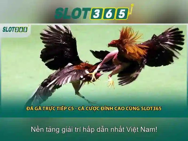 Đặc điểm nổi bật của Slot365