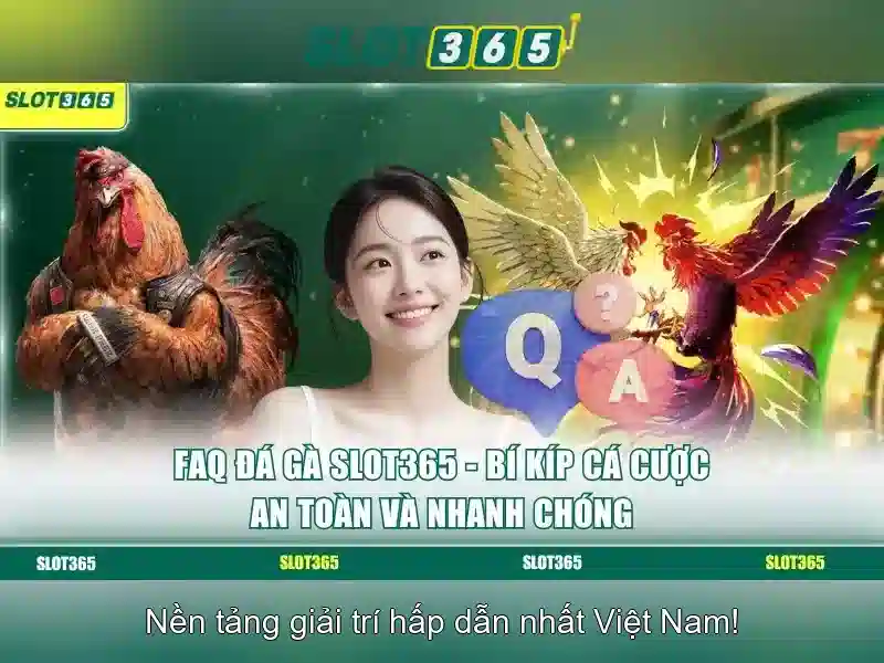 Trải nghiệm người chơi với Slot365