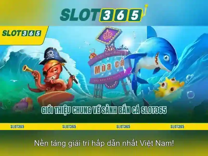 An toàn, bảo mật và thanh toán