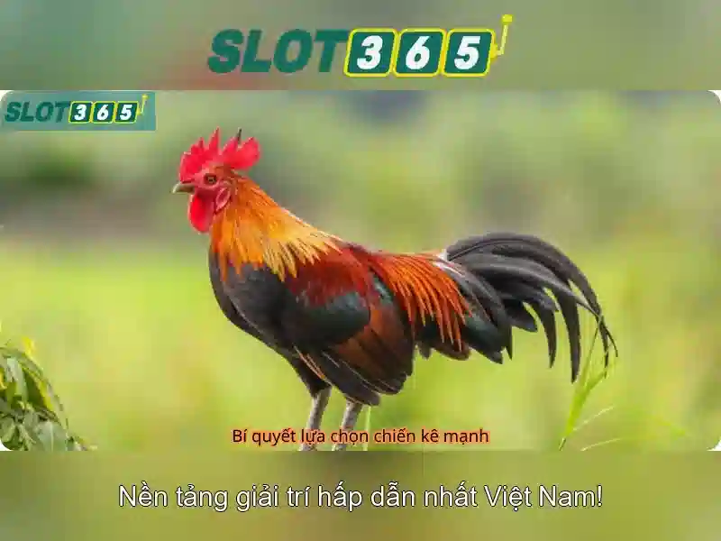 Nguồn gốc và sứ mệnh của slot365 game