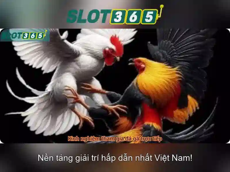 Slot365 – Tổng quan về nền tảng chơi slot và game bài trực tuyến