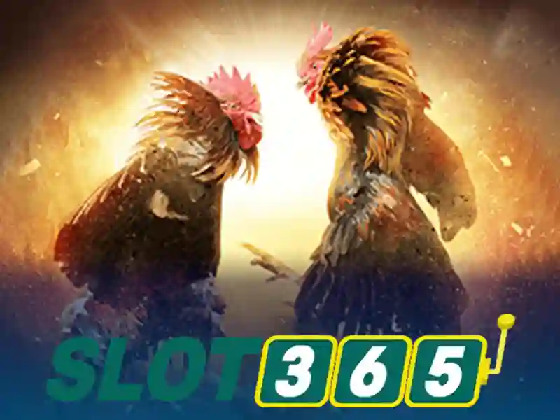 Slot365: Nền tảng casino trực tuyến uy tín
