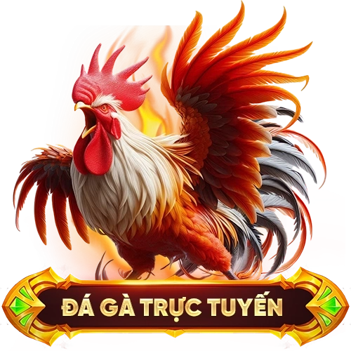 đá gà trực tuyến SLOT365